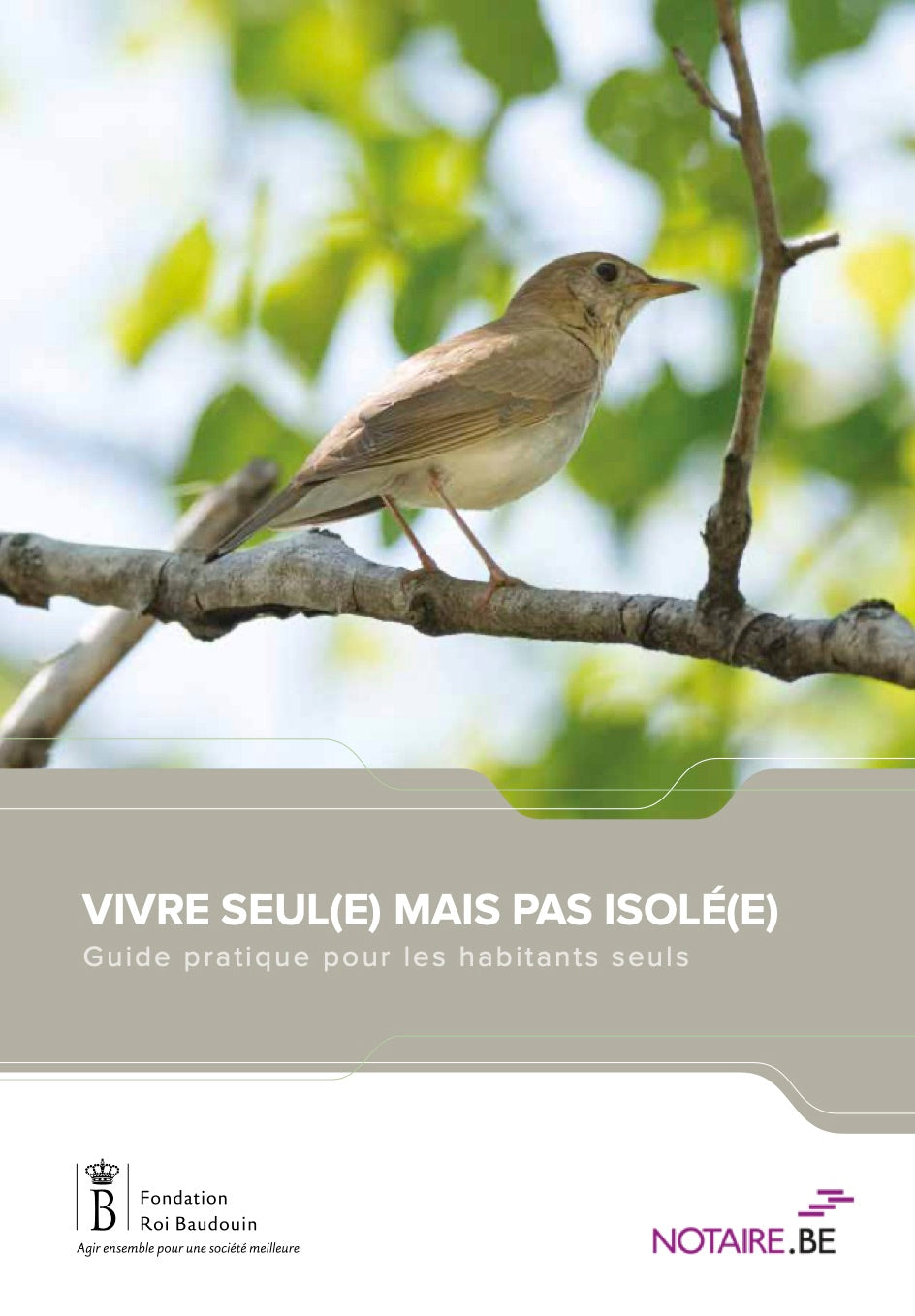 Vivre seul(e) mais pas isolé(e):  Guide pratique pour les habitants seuls